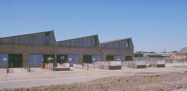 Banbury Stockyards